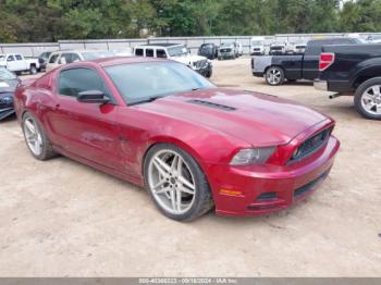  Salvage Ford Mustang