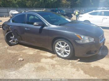  Salvage Nissan Maxima