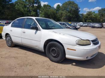  Salvage Chevrolet Classic