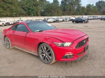  Salvage Ford Mustang