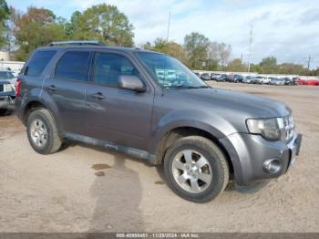  Salvage Ford Escape