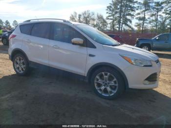  Salvage Ford Escape