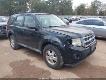  Salvage Ford Escape