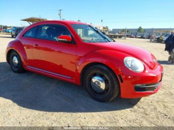  Salvage Volkswagen Beetle