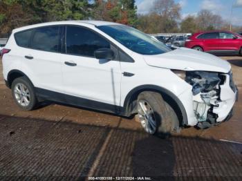  Salvage Ford Escape