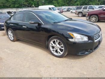  Salvage Nissan Maxima