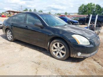  Salvage Nissan Maxima