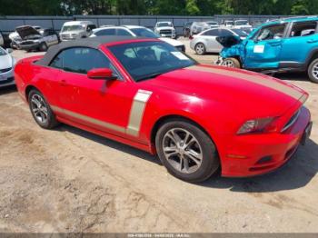  Salvage Ford Mustang