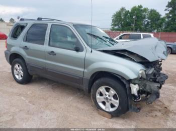  Salvage Ford Escape