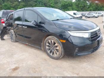  Salvage Honda Odyssey
