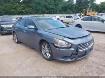  Salvage Nissan Maxima