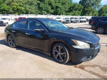  Salvage Nissan Maxima