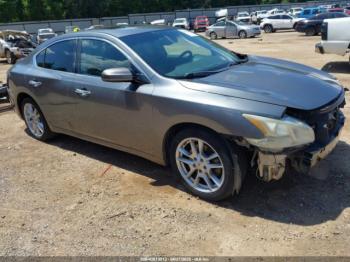  Salvage Nissan Maxima