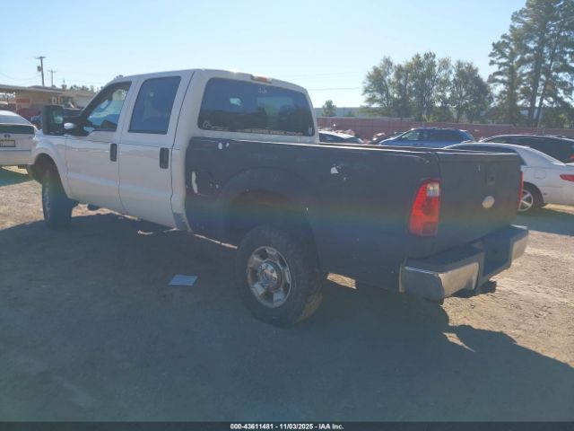 Ford F-250 Xlt Image 12