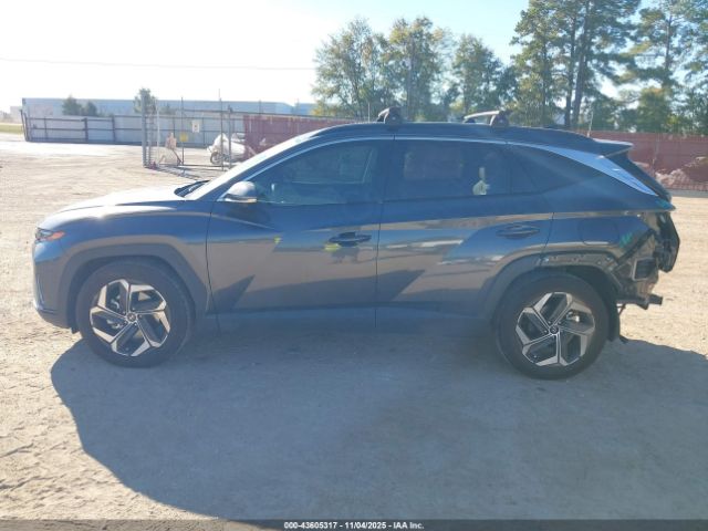 Hyundai TUCSON Limited Image 15