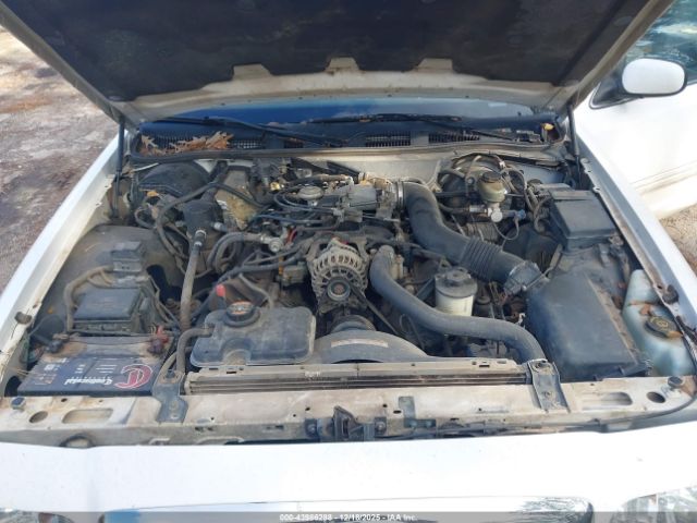 Ford Crown Victoria Image 6