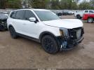 Kia Telluride Sx Prestige X-pro Image 1