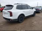 Kia Telluride Sx Prestige X-pro Image 18