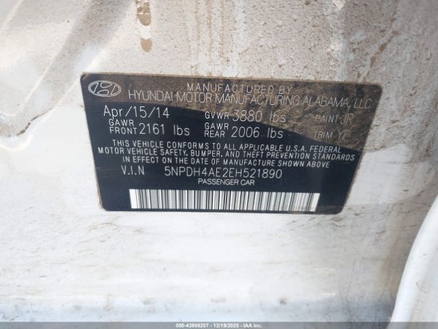 Hyundai ELANTRA Limited Image 7