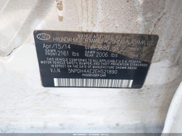 Hyundai ELANTRA Limited Image 7