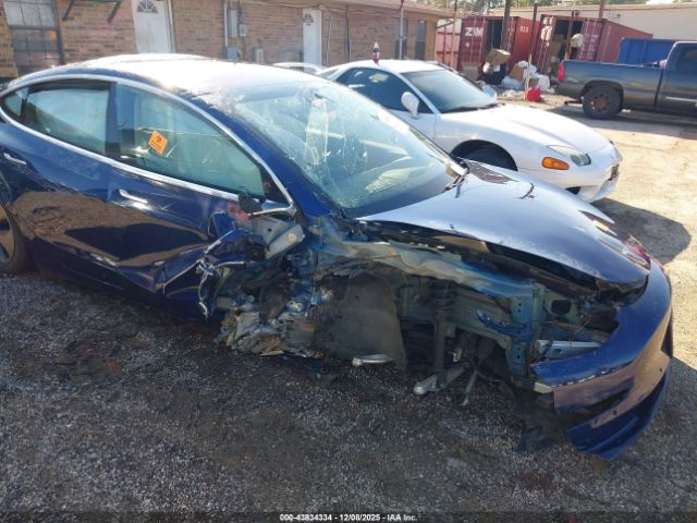 Tesla Model 3 Image 12