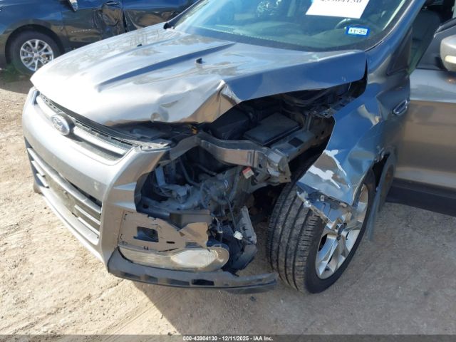 Ford Escape Sel Image 5